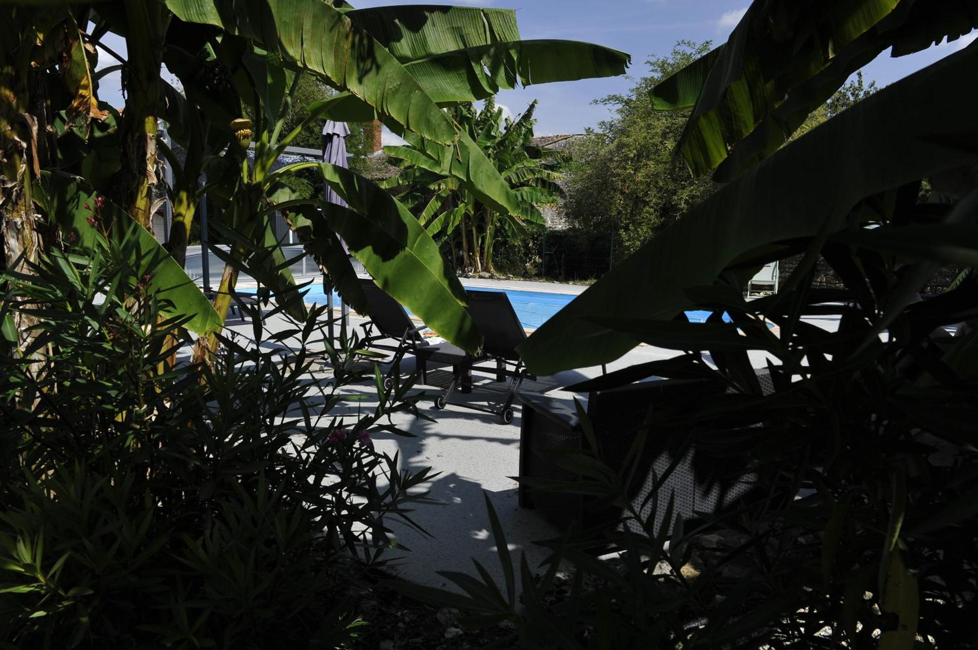 Jardin D'Arcy - Chambres D'Hotes Avec Piscine Et Spa Bois Luaran gambar